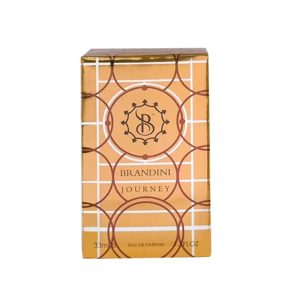 عطر ادکلن جورنی مردانه Journey برندینی