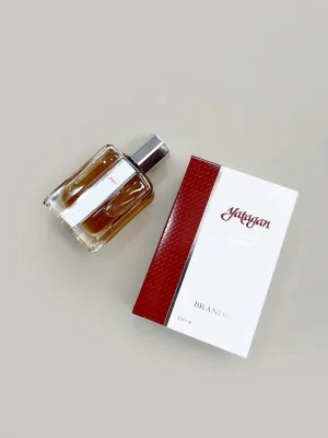 عطر مردانه کارون یاتاگان برندینی با رایحه خاص - تصویر ویژه