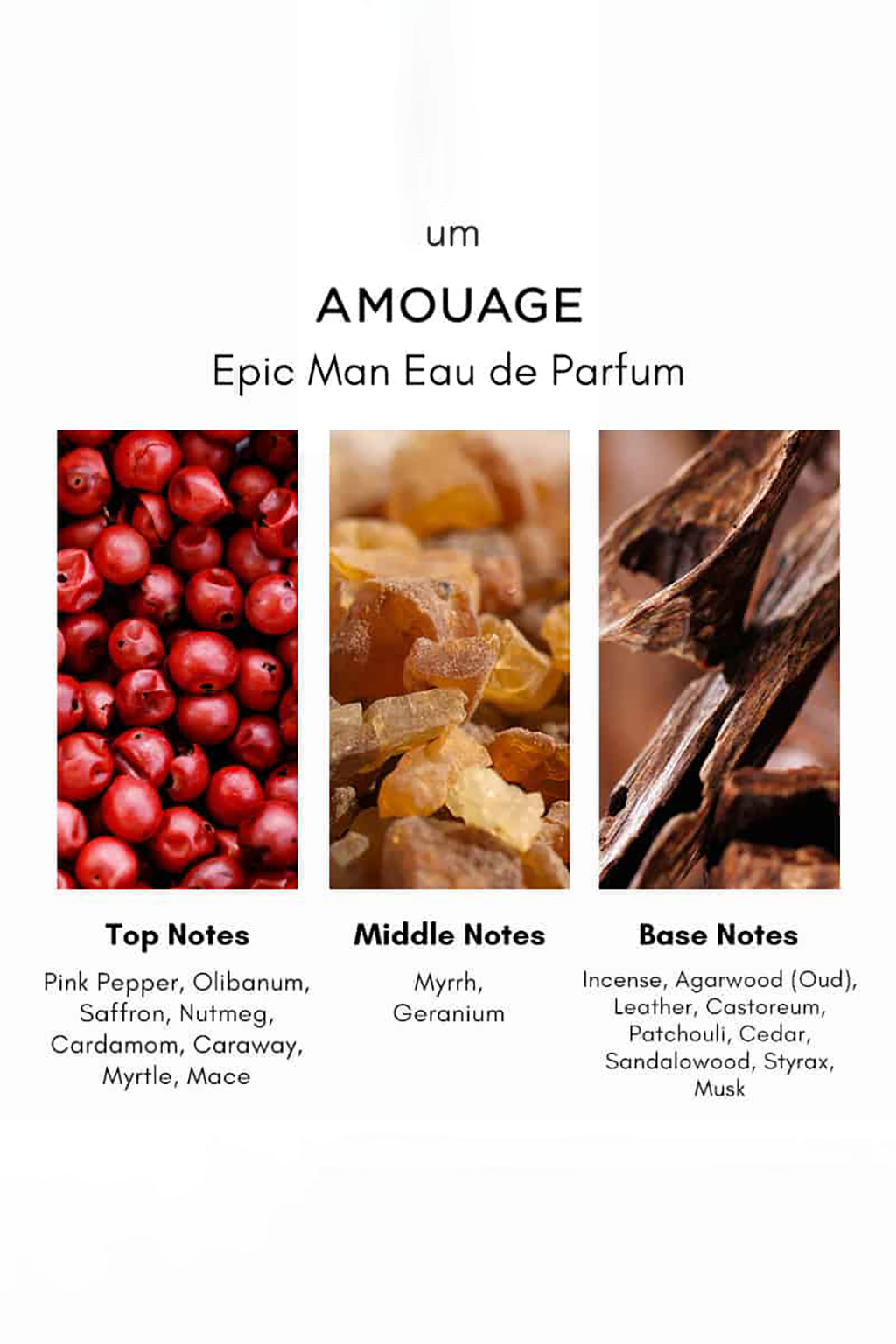 عطر مسترکوالیتی آمواج اپیک - Image 2